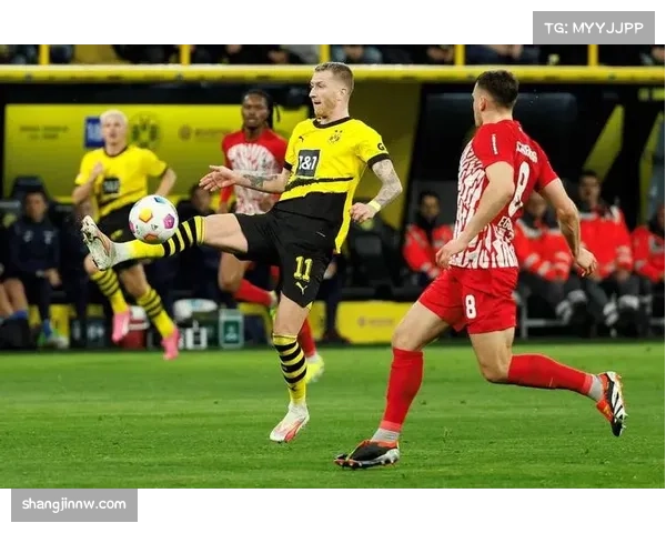 多特与拜仁分差维持九分，争冠希望渺茫但欧冠资格稳固